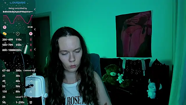 Vulgar_Tamer webcam