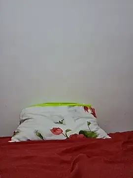 altinya webcam