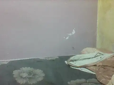 mislover webcam