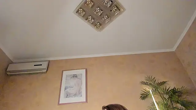 Diamond_D_ webcam