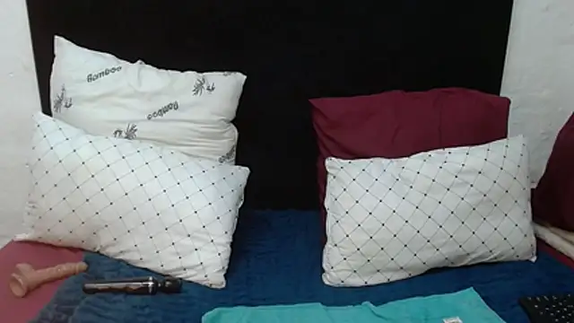 BaselBlues webcam