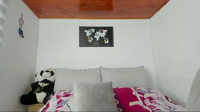 Arenne_rouse webcam
