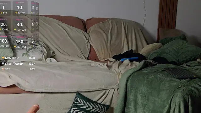KimArts webcam