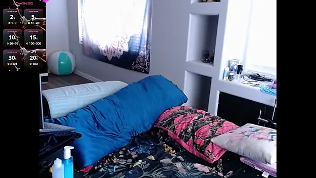 ReeseZen webcam