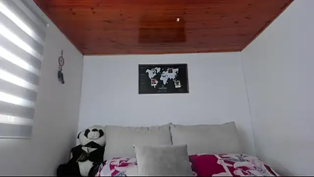 Arenne_rouse webcam