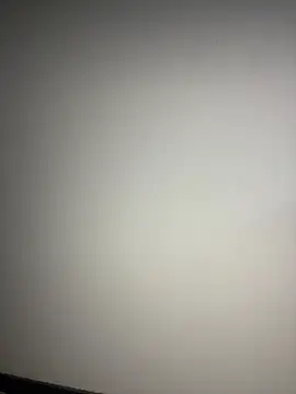 delasan webcam