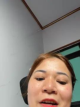 L_We webcam