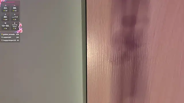 SteffaLains webcam
