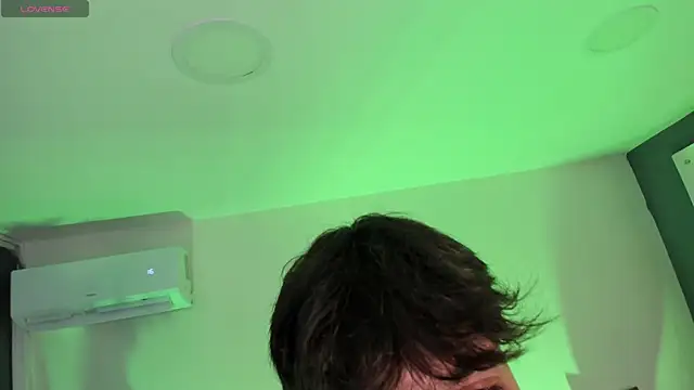Handsomeboyss19 webcam