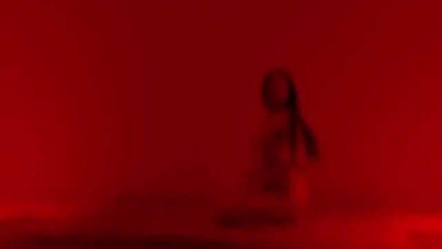 G-Velvet webcam