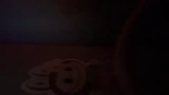 JerriePatches webcam