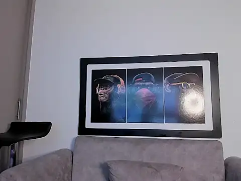 Maxcarrther webcam
