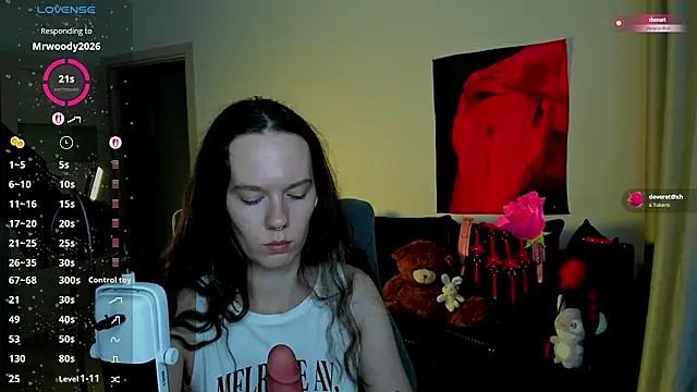 Vulgar_Tamer