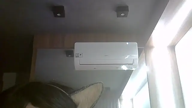 SkinnyKitten webcam