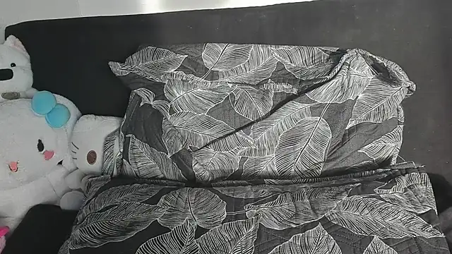 Eirlysx webcam