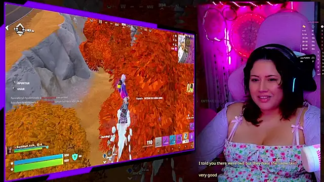 ALIS_E_G webcam
