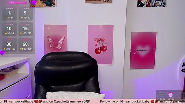 Sampuckettbaby webcam
