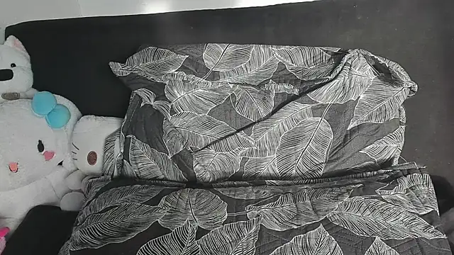 Eirlysx webcam
