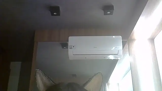 SkinnyKitten webcam