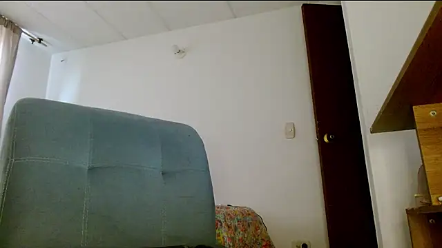 Juls_winter_ webcam