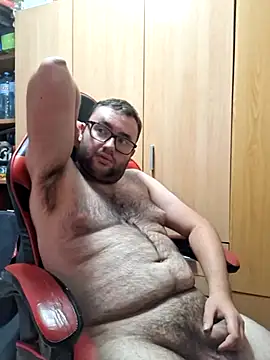 Javier_bear webcam