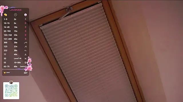 CecileBrickstone webcam