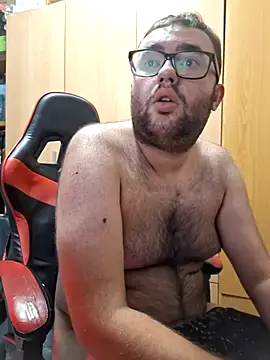 Javier_bear webcam