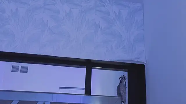 july_quinzel webcam