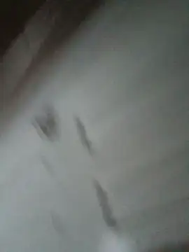 Jazzythorn88 webcam