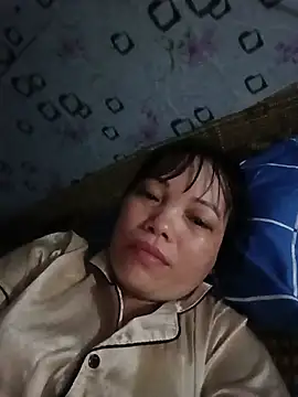 Sana-vn webcam
