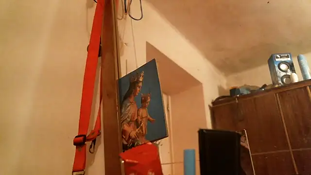 bravo23toro webcam