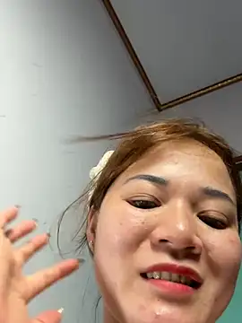 L_We webcam