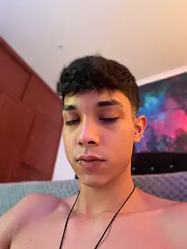 -DIAMOND webcam