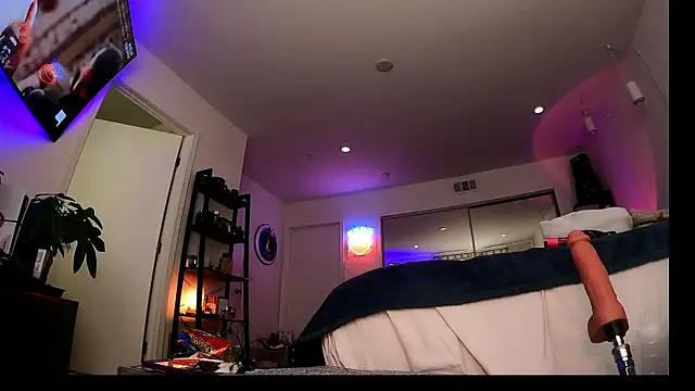 allpawgsgotoheaven