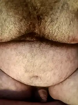big__bearrr webcam