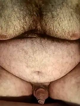 big__bearrr webcam
