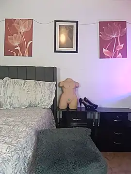 CristalRays webcam