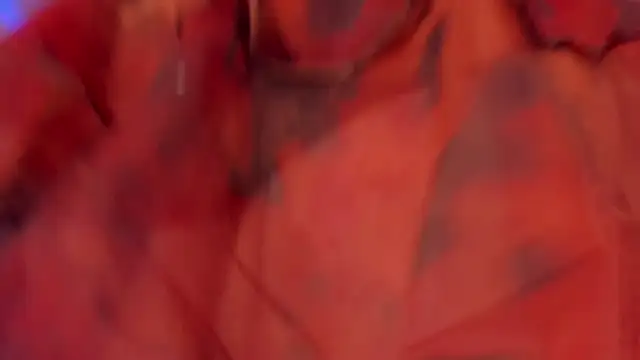 GiaFerrara live webcam show