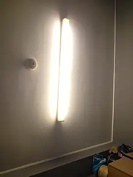 Jadeybaby1 webcam