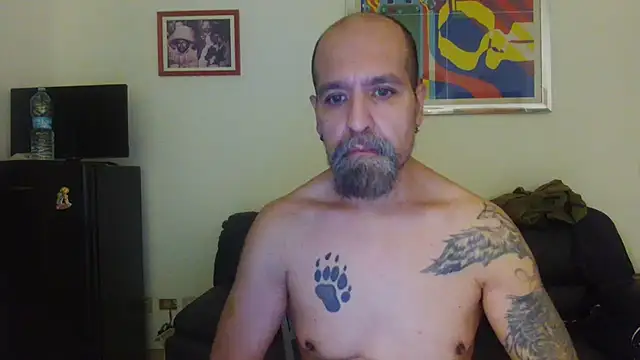 AMIRDIB2025 webcam