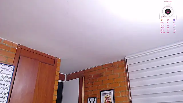 Salome-sw webcam