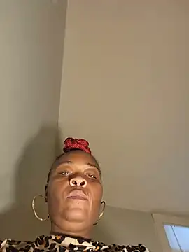 AllLeggs webcam