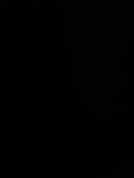 normyx webcam