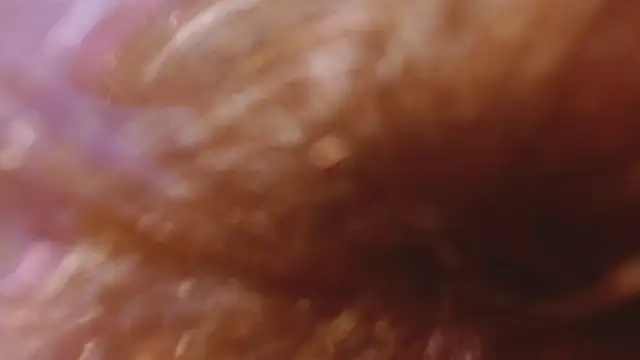 Amelie_Rousell webcam