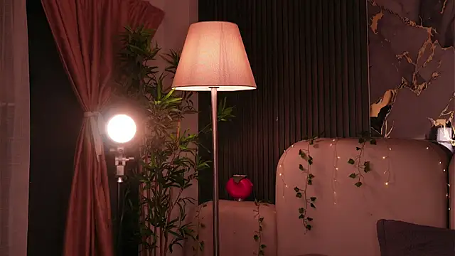 soidai_miiu webcam