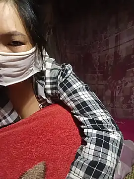 Hiha-nn webcam