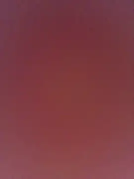 daisyy2 webcam