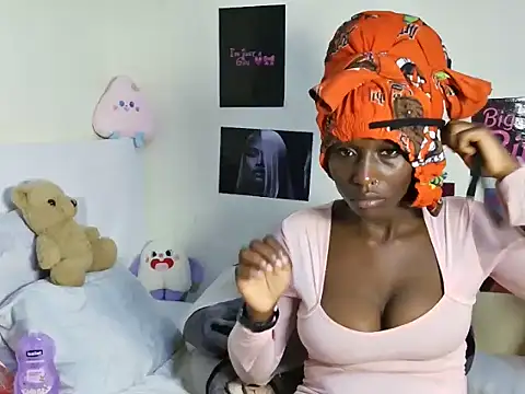 Aria_ah webcam