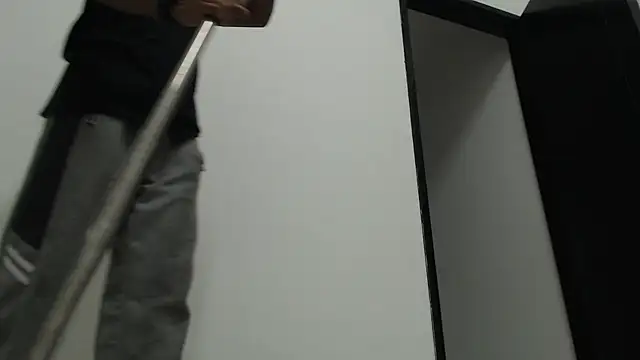 Stevenosori