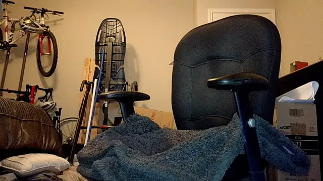 privateD webcam